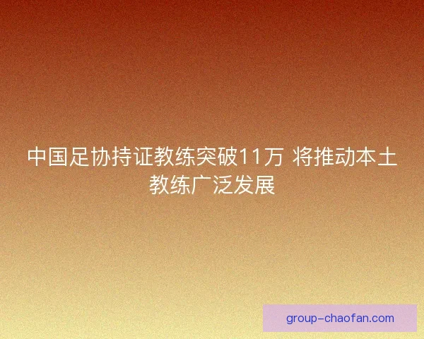 中国足协持证教练突破11万 将推动本土教练广泛发展